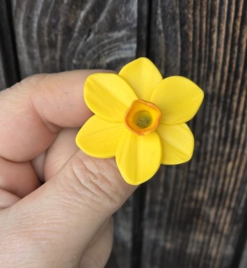 brosa martisor narcisa galbena